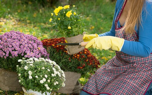 List of core gardening services displayed on a clipboard in a suburban garden