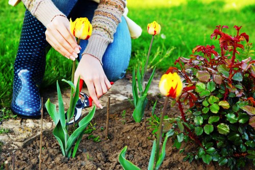 Gardening team member speaking with a client, demonstrating inclusive onsite arrangements in Manor Park