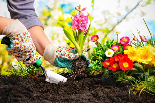 A gardener's hands, wearing colorful gardening gloves, are planting a pink hyacinth bulb into dark, rich soil in a well-maintained garden in Manor Park. Surrounding the planting site are various flowering plants, including a cluster of vibrant daisy-like flowers with white, pink, and yellow petals, and bright red, orange, and yellow primroses. The background shows a sunny outdoor scene with green leaves and a clear blue sky, indicating a bright, mild weather day suitable for gardening. The garden features a neat layout with a defined flower bed bordered by lush plants, highlighting the natural tones of the soil and foliage, and the texture of the soil contrasts with the soft petals of the nearby flowers. This scene emphasizes the outdoor environment and gardening activity typical of suburban gardens in the Manor Park area, reflecting professional gardening practices and outdoor maintenance by Gardening Services Manor Park.