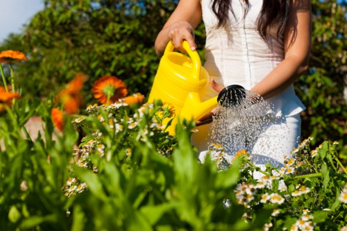 Array of personal protective equipment displayed for gardening tasks