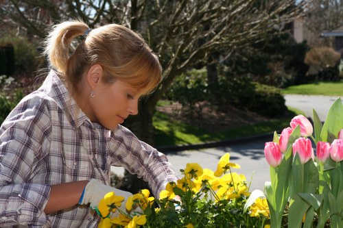 Manor Park garden pathway in spring