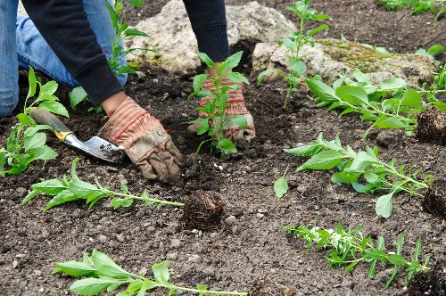 Expert landscaping design in Manor Park